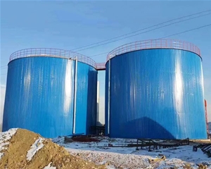 大型儲存罐定制